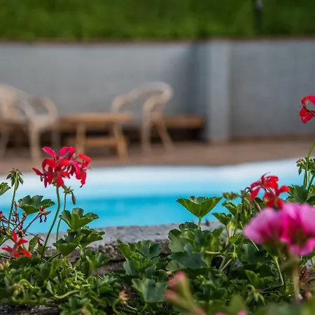 Nocleg ze śniadaniem Tatiana Luxury Trebbiantico