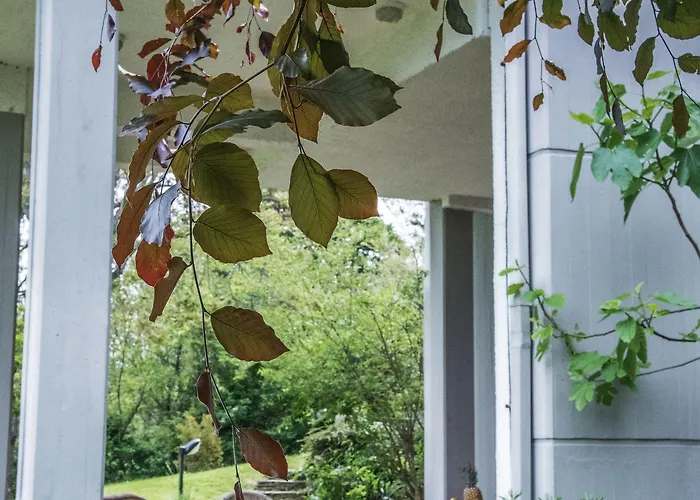 Tatiana Luxury 3* Trebbiantico